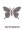 the timeless butterfly
